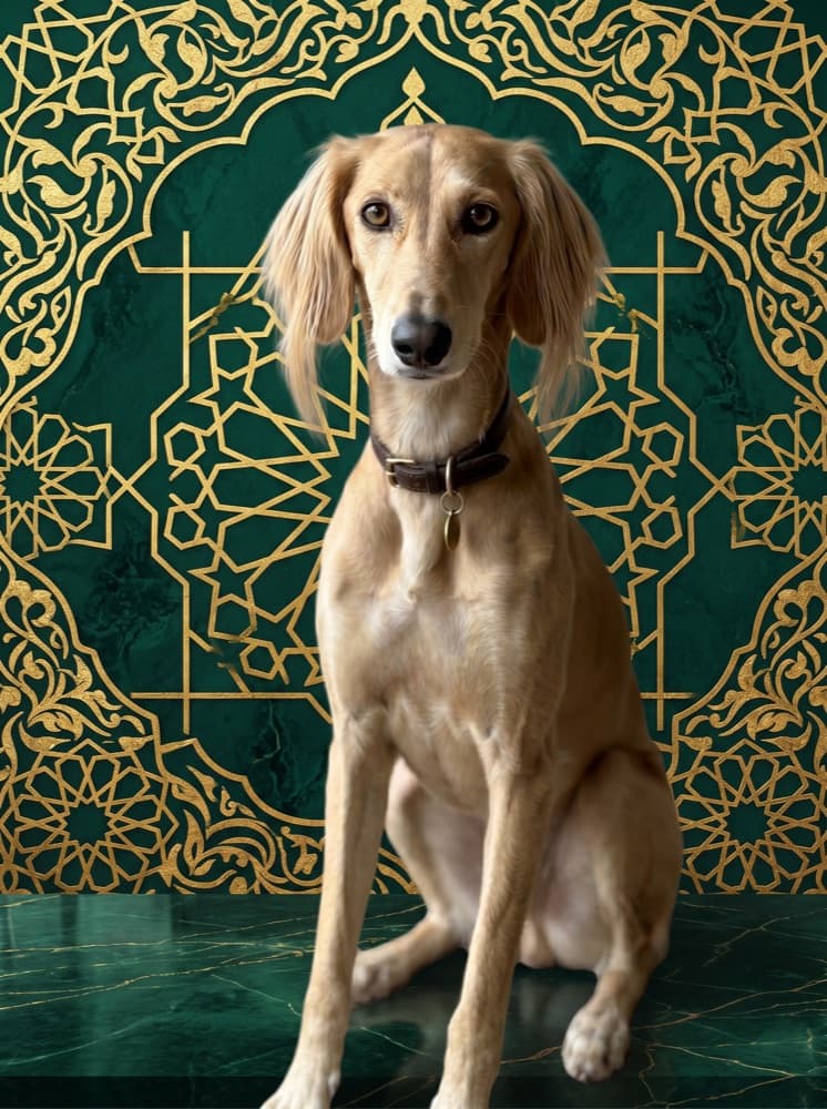Saba as Arabesque Gold-leaf